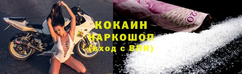 Cocaine Fish Scale  закладка  Владимир 